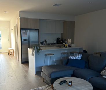 Somerville - Photo 1