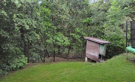 35 Suvla Street, Balmoral QLD 4171 - House For Rent | Domain - Photo 5