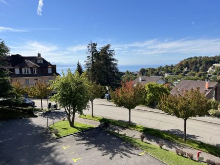 Splendide appartement de 4.5 pièces avec belle vue lac! - Photo 3