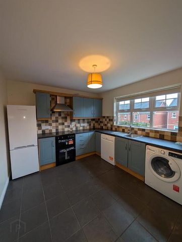 129 Limewood, Banbridge, BT32 3FH - Photo 4