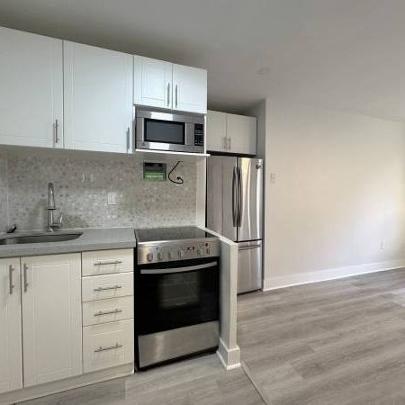 140 SPRINGHURST AVE. #14 - NEWLY RENO'D STUDIO/1BATH, MINUTES TO TTC - Photo 1