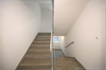 beim Alois Drasche Park: 2-Zimmerwohnung I befristet - Foto 2