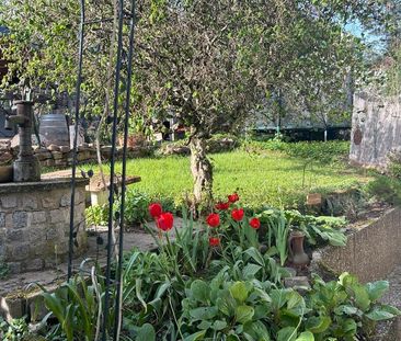 Mietwohnung mit Charme - Photo 6