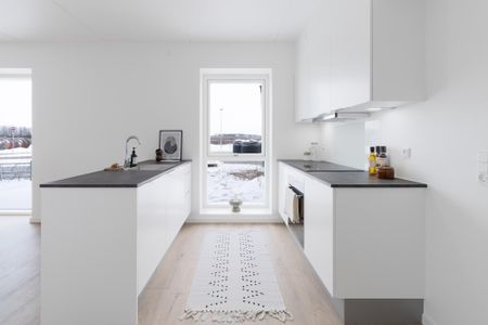 Hedvig Billes Top 14, 3.3 - Foto 4