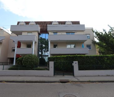 Apartment - Photo 6