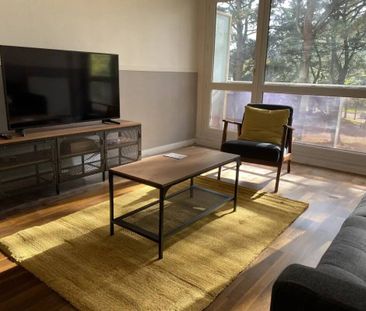 Colocation dans un bel appartement à Nantes - Photo 3