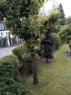 Helle und schöne 2 ZKBB in Toplage Wiesbaden - Photo 1