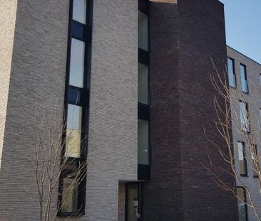 Appartement te huur in Hasselt voor € 820 met 1 slaapkamer - Photo 6