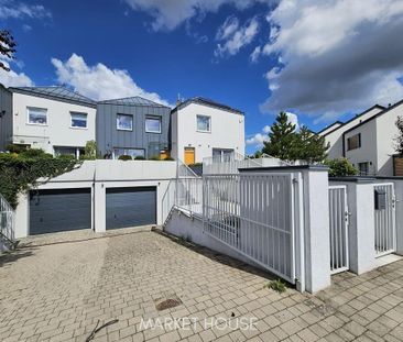 Mieszkanie | Wynajem - Zdjęcie 1