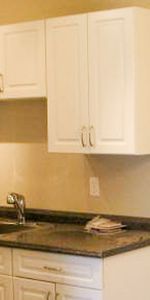 1 Bedroom Condo For Rent In Oliver: Pet Friendly - Photo 3