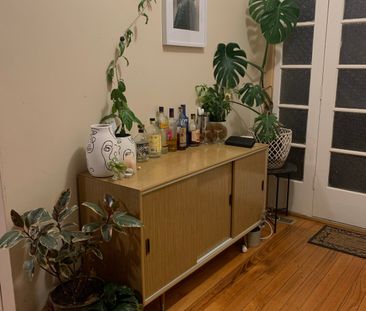 Macleod - Photo 4