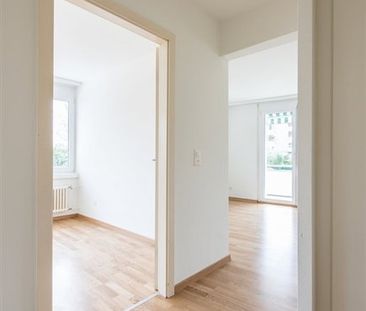 2 Zimmer, EG - Photo 4