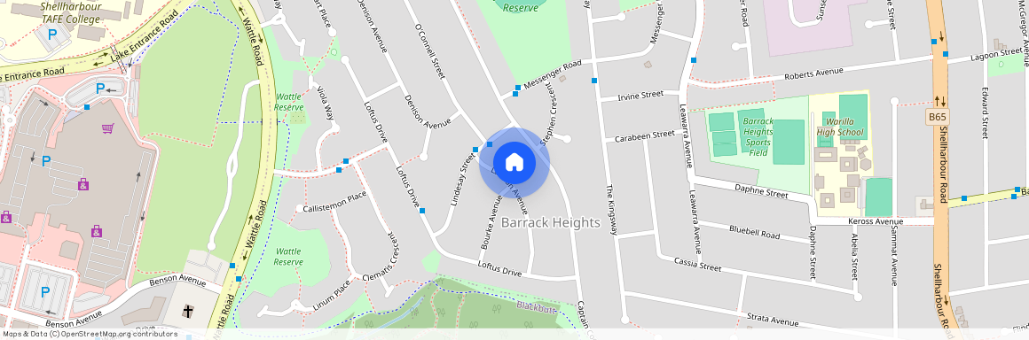 9 Lachlan Avenue, Barrack Heights NSW 2528