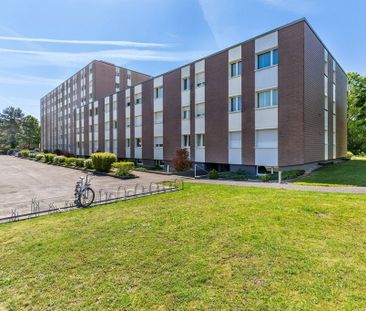 3.5 Zimmer, 69 m², 2. Stock - Photo 2