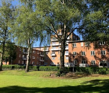 Vejle - Studie/Pendler 1vær.Lejl.Mølho - Photo 6