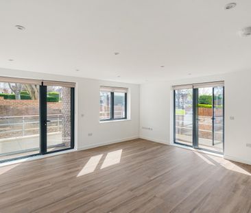 The Droveway - Photo 2