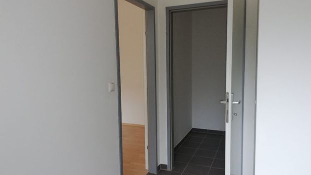 Jakoministraße 17a/13 - Singlewohnung im Zentrum - Foto 1