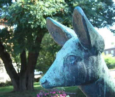 Planteringsvägen 91 - Photo 6