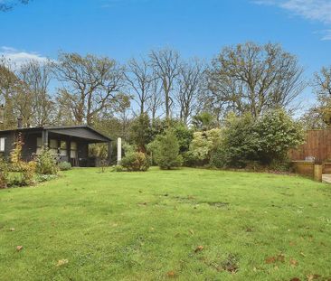 3 bedroom house to rent - Photo 1