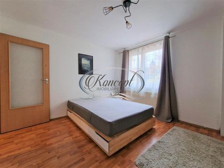 Apartament Pet Friendly, zona Fsega - Photo 3