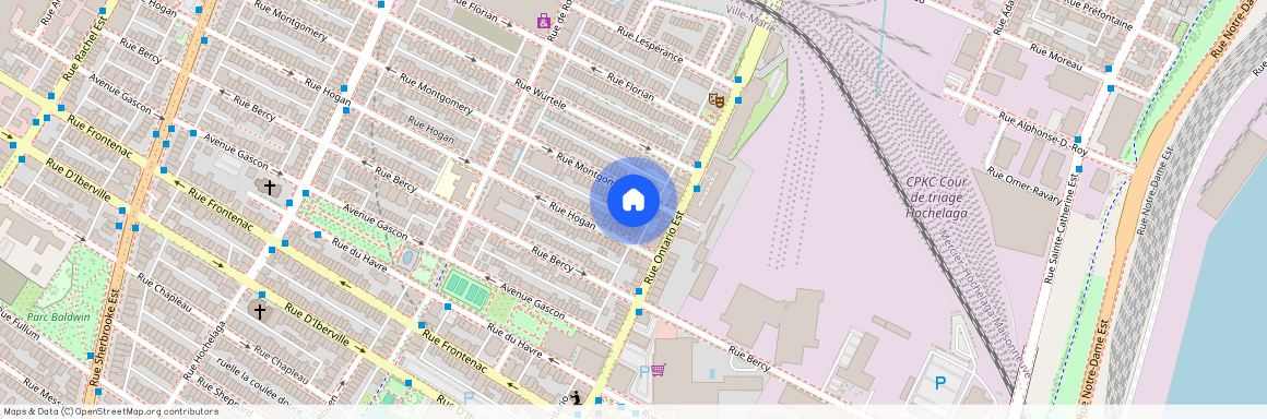2036 Rue Montgomery, Ville-Marie, Ville-Marie, Ile de Montréal, H2K 1X4