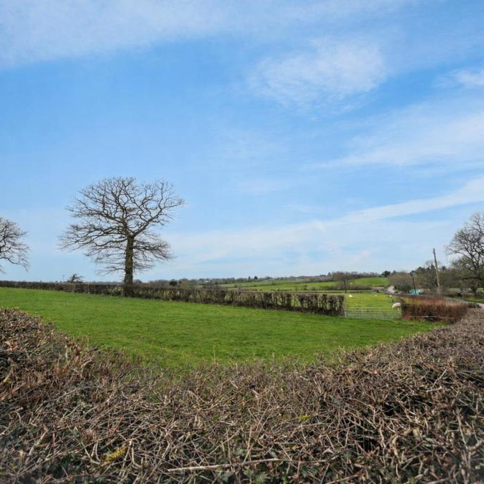 3 bedroom detached bungalow to rent - Photo 1