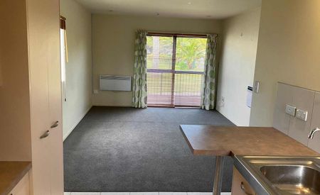 Albany, 30/437B Albany Highway - Photo 4