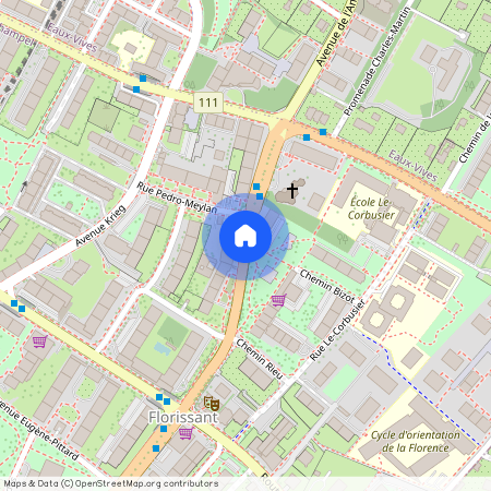 Chemin Rieu, 1208 Genève