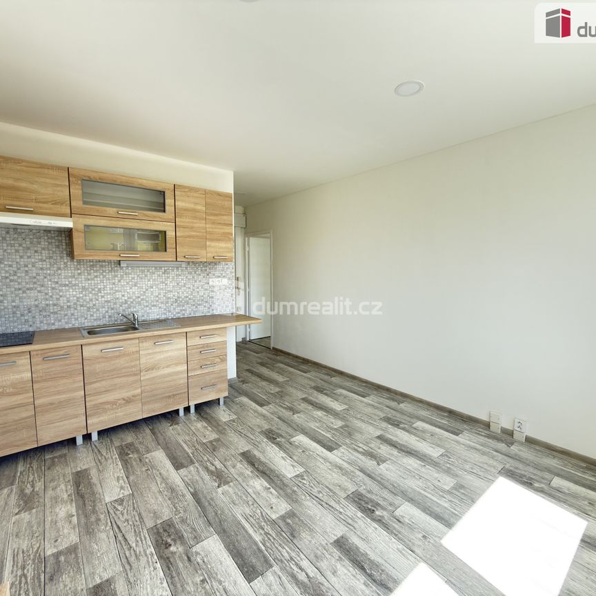 Pronájem bytu 1+1 40 m² - Photo 1