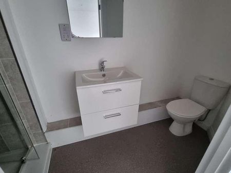 Albert Road, Wellingborough, Northamptonshire, NN8 - Photo 5