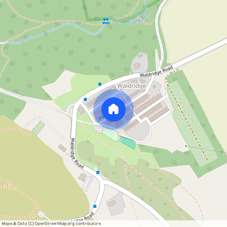 Pine Street, Chester Le Street, DH2 3SF, Chester Le Street