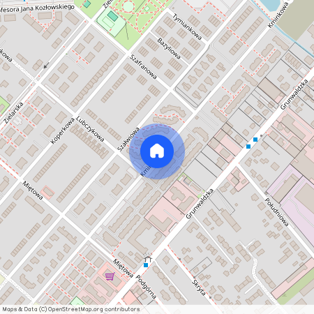 ul. Kminkowa, Plewiska, Komorniki, poznański, wielkopolskie