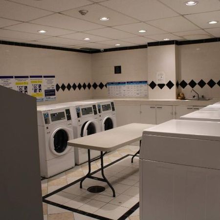 Studio - Westmount - $1,300 /mo - Photo 3