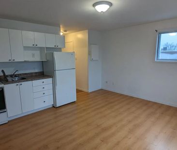 165 Rue Eddy (Hull) Studio Situé Dans Un Emplacement De Choix - Photo 3