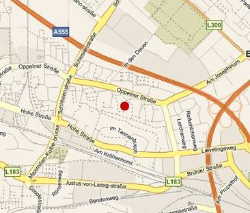 Schneidemühler Str. 10, 53119 Bonn OT Tannenbusch alt - Foto 3