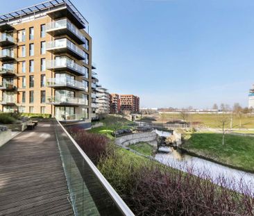 3 bedroom penthouse to rent - Photo 5