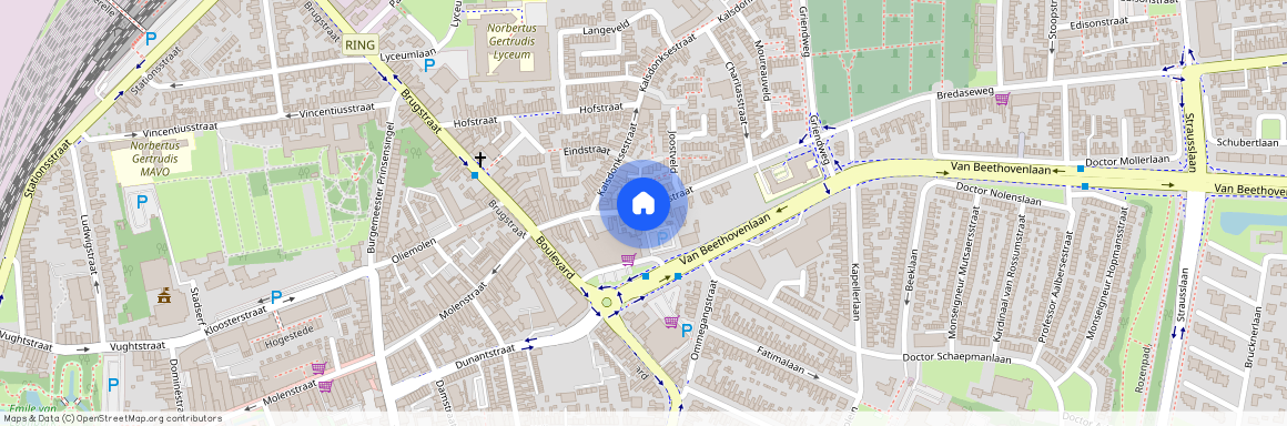 Hoogstraat 52, Parklaan-Hoogstraat, 4702ZV, Roosendaal