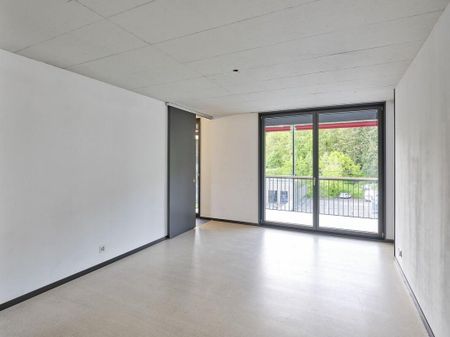 2.5 Zimmer Wohnung - Foto 3