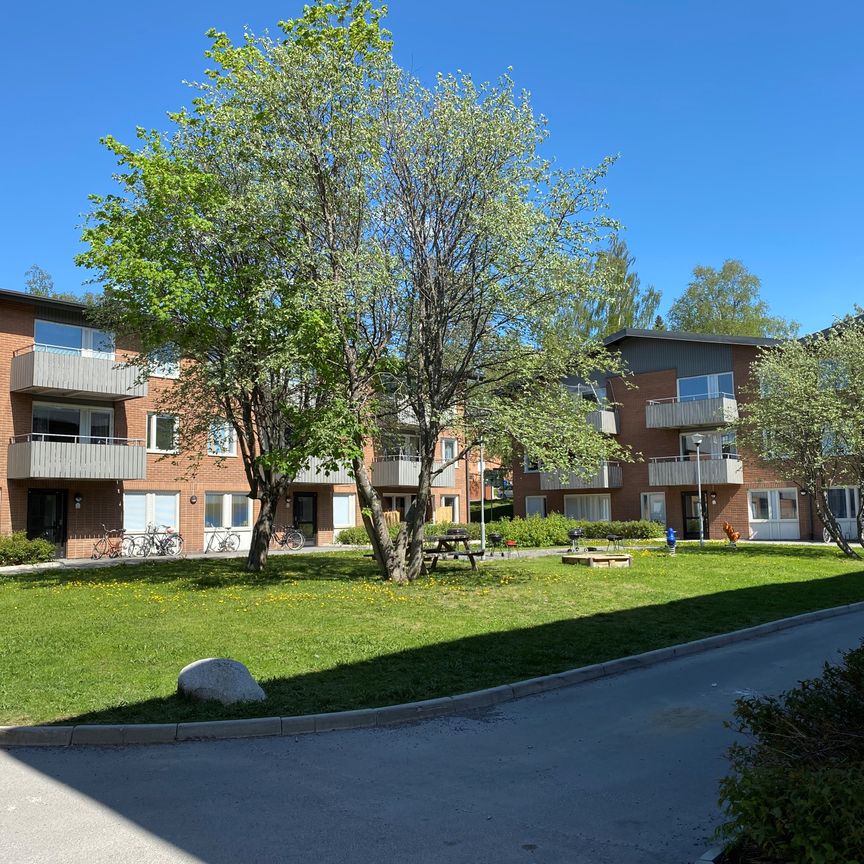 Grundläggargränd 36, Östersund - Foto 2