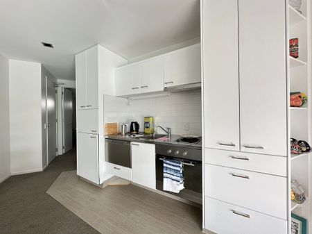 Modern One Bedroom Apartment in Ponsonby - Photo 2