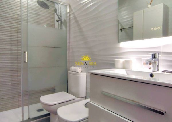 2 BEDROOM VILLA IN MIL PALMERAS