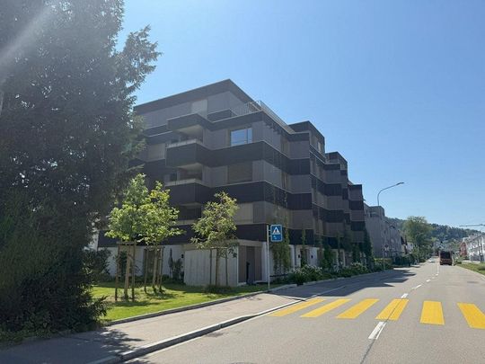 Moderner Wohnsitz in Schwamendingen - Photo 1