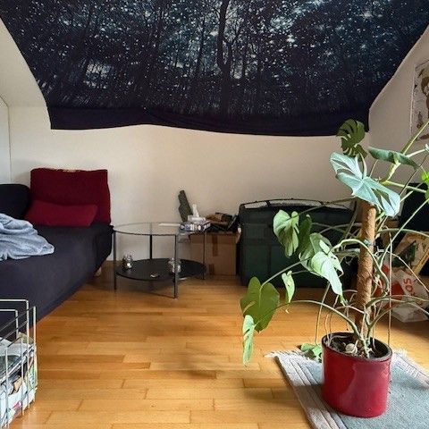 4450 Sissach - Photo 1