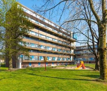 Olivierplaats 3813 HK Amersfoort - Photo 3
