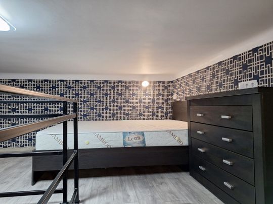 PIATA AVRAM IANCU Studios for Rent in Cluj-Napoca in the central area, 20 minute from the University of Medicine and Pharmacy, studios with bedroom loft, living room, kitchen and bathroom. - Photo 1