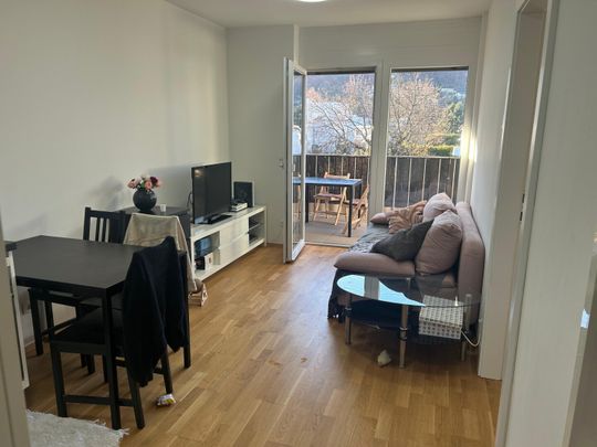 Ideal aufgeteilte 2-Zimmer-Wohnung mit einem großen Balkon in Grünruhelage in Gösting in sehr guter Lage – Provisionsfrei - Foto 1