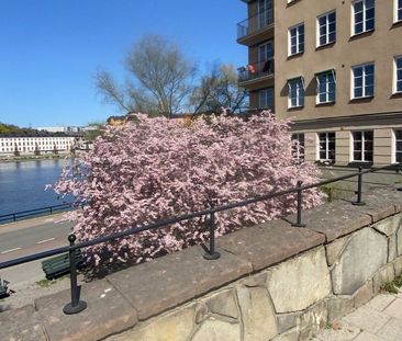 Alströmergatan, Stockholm - Foto 6