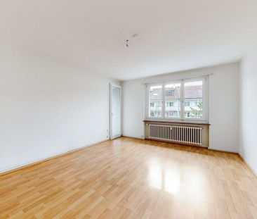 Enjoying city life - Photo 5