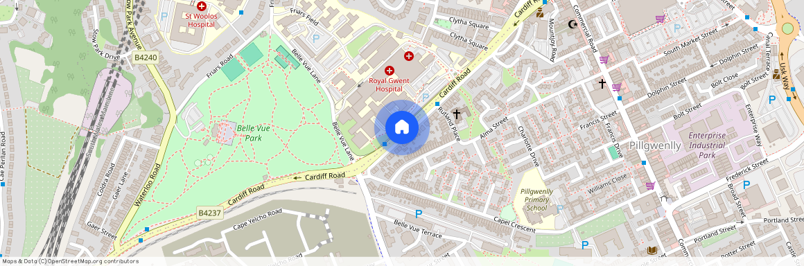 Cardiff Road, Newport, NP20