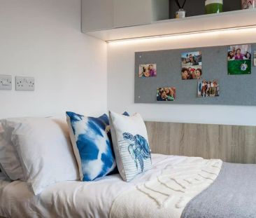 Premium Studio - Photo 4